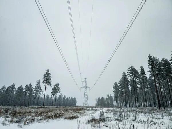 High Voltage Electricity Power Line Towers Forest Winter — Stock Photo, Image