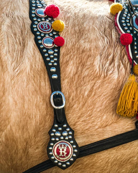 Close Detail Decorative Leather Harness Brown Horse Equipment Yellow Red — Stock Photo, Image