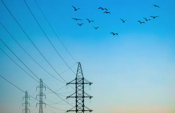 Wysokonapięciowa Linia Elektroenergetyczna Wieże Przed Niebem Ptaki Latające — Zdjęcie stockowe