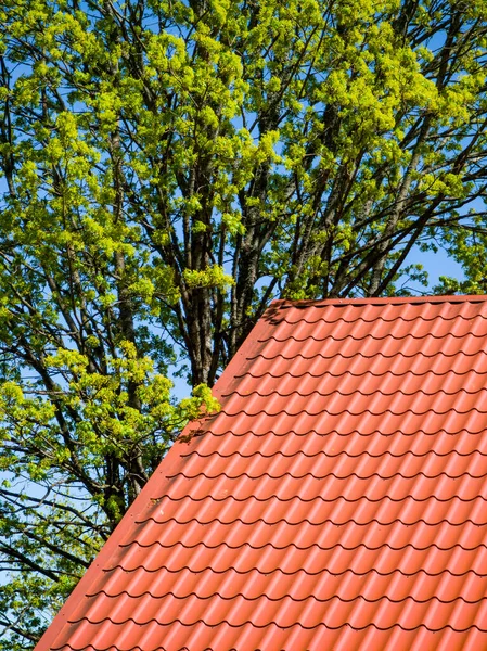 Červená Kachlová Střecha Mraky Modré Obloze Zelený Strom — Stock fotografie