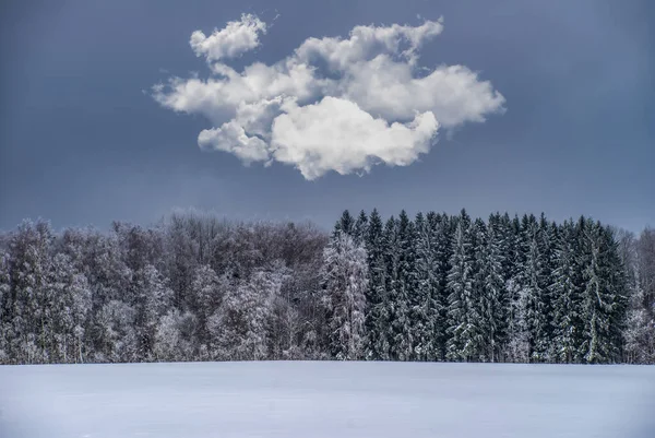美しい冬の風景 雪の森だ 裸の木 青空の雲 — ストック写真