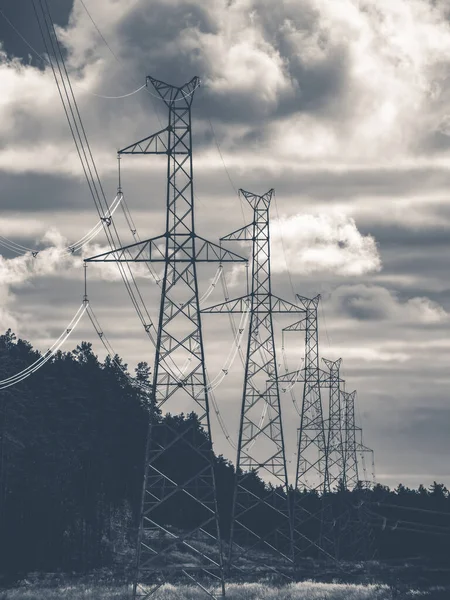 Wysokonapięciowa Linia Energetyczna Wieże Pobliżu Lasu Chmurne Niebo — Zdjęcie stockowe