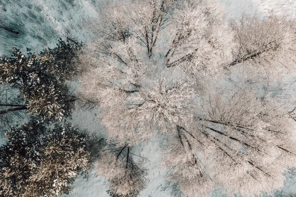 ウィンターフォレストの空中展望 スノーウィー裸の木 上からの美しい自然 — ストック写真