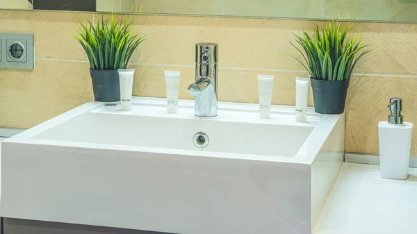 Lavatório Branco Com Sabão Cosméticos Banheiro Interior Moderno Plantas Decorativas — Fotografia de Stock