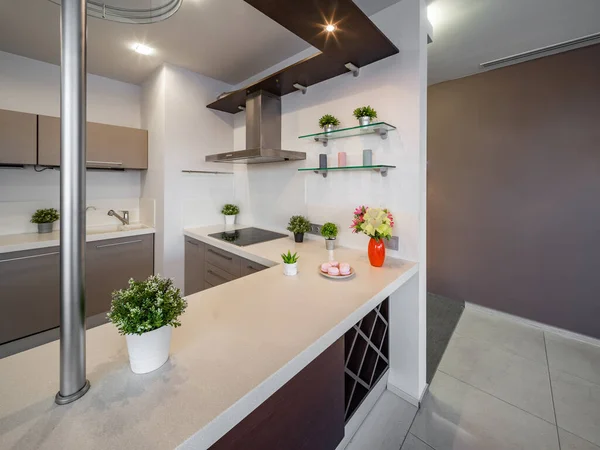 Moderno Interior Cocina Apartamento Estudio Lujo Decoración Del Hogar — Foto de Stock