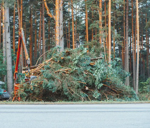 Ein Traktor Fahrbahnnähe Entfernt Einen Umgesägten Baum Schweres Gerät — Stockfoto