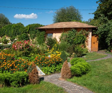 Güneşli bir günde güzel bir yaz bahçesi. Yeşil çimenler, çiçekler