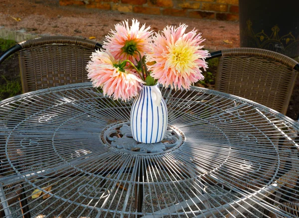 Yaz Bahçesindeki Masanın Üstündeki Vazoda Pembe Yıldız Çiçeklerinin Yakın Çekimi — Stok fotoğraf