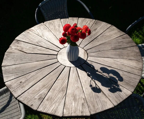 Yaz Bahçesindeki Masanın Üstünde Vazoda Kırmızı Küçük Yıldız Çiçeklerinin Yakın — Stok fotoğraf