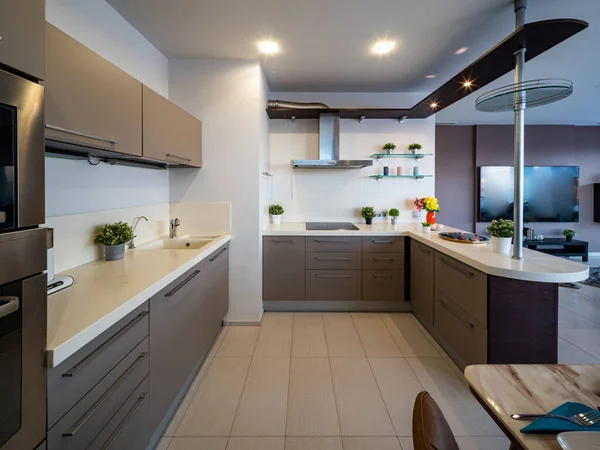 Interior Moderno Cozinha Apartamento Estúdio Luxo Decoração Casa — Fotografia de Stock