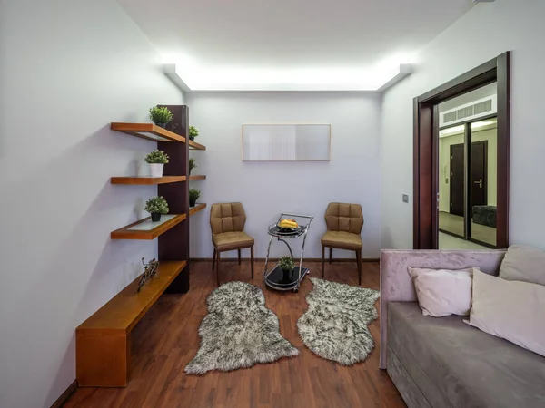 Lüks Bir Dairede Modern Bir Oturma Odası Ahşap Raflarda Bitkiler — Stok fotoğraf