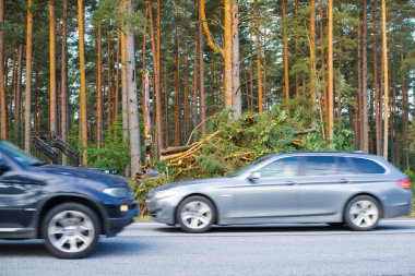 Yol kenarındaki traktör testereli ağaçları kaldırıyor. Hareket halindeki arabalar bulanık.