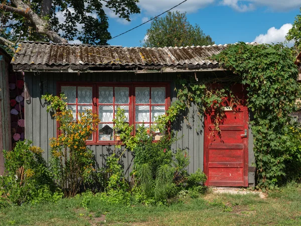 stock image Old small house overgrown with ivy in a beautiful garden on sunny day.