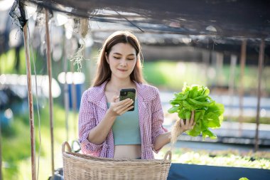 Güzel bir kadın çiftçi. Çatı katındaki seradan organik bitki kalitesini ve miktarını kontrol ediyor. Organik tarım planlıyorlar..