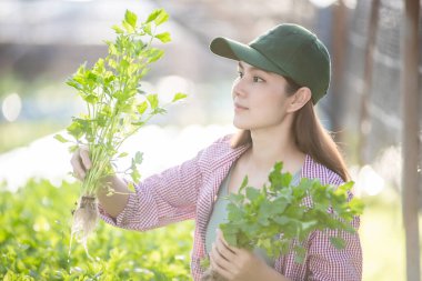 Güzel dişinin elinde teras bahçesinden taze sebzeler ve organik tarım planları var..