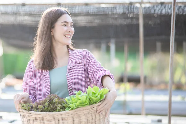 Красива Жінка Тримає Свіжі Овочі Тепличного Саду Даху Планує Органічну — стокове фото