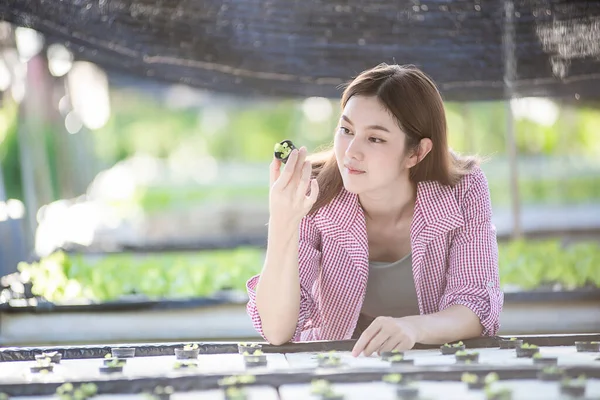 Beautiful Female Holds Fresh Vegetables Produce Rooftop Greenhouse Garden Planning — Stock Photo, Image