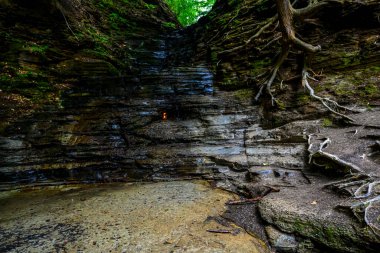 Chestnut Ridge Parkı Sonsuz Alev Şelaleleri Yolu