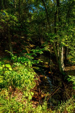 Bear Mountain, New York, ABD 'den görüntüler