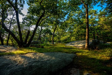 Bear Mountain, New York, ABD 'den görüntüler