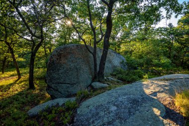 Bear Mountain, New York, ABD 'den görüntüler