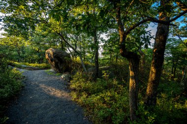 Bear Mountain, New York, ABD 'den görüntüler