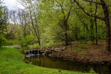 Prospect Park 'ta bir bahar günü; Brooklyn, New York, ABD