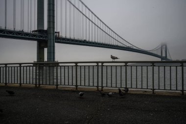 Verrazano Narrows Köprüsü sisli bir bahar gününde, Brooklyn, New York, ABD