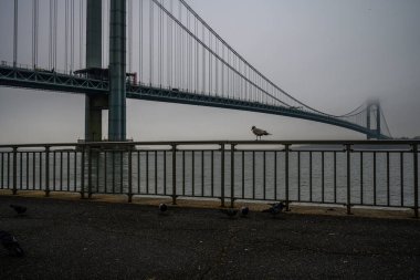 Verrazano Narrows Köprüsü sisli bir bahar gününde, Brooklyn, New York, ABD