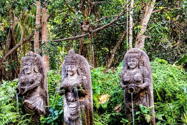 stock image Sacred monkey forest sanctuary, Padangtegal, Ubud, Bali, Indonesia   