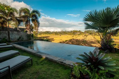 Endonezya, Bali, Ubud, Güneş doğarken havuzlu turistler için tipik villa