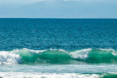 Endonezya 'nın Bali Adası, Canggu sahilinin önündeki hindistan cevizi denizi.