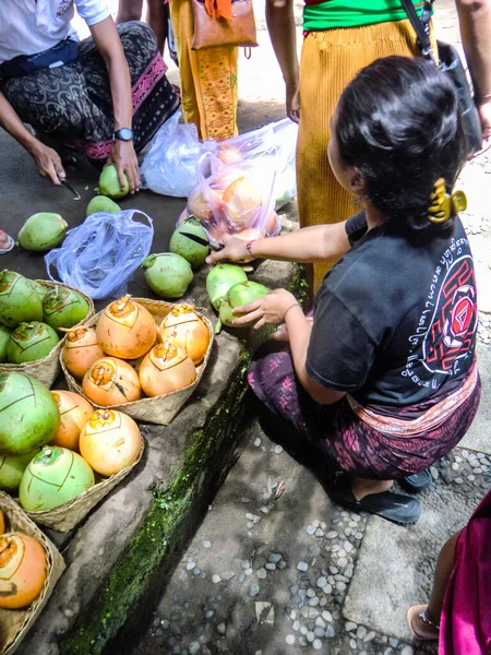 Taman Beji Griya Şelalesi, Kabupaten Badung, Bali, Endonezya 'daki Hindu tapınağındaki arındırma için taze hindistan cevizleri.