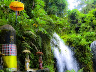 Taman Beji Griya Şelalesi, Kabupaten Badung, Bali, Endonezya