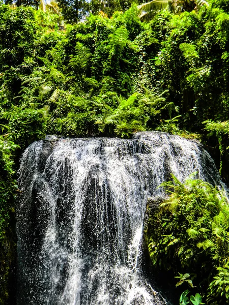 Таман Беджі Ґріа Водоспад Кабупатон Бадунг Балі Індонезія — стокове фото