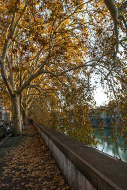 Lungotevere, Floransa 'nın Tiber Rıhtımı, Roma, Unesco Dünya Mirası Alanı, Latium, İtalya, Avrupa