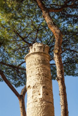  Sacra di Largo bölgesi Arjantin