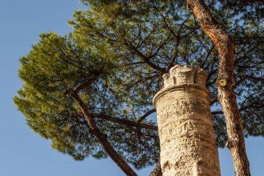 Sacra di Largo bölgesi Arjantin