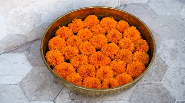 Sepette Marigold (Zendu Çiçekleri) çiçekleri