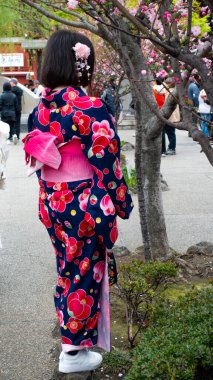 Tokyo, Japonya Nisan 2024 Kimliği belirsiz yabancı turistler yukata (kimono) giyiyorlar Japonya 'nın Tokyo, Japonya' daki ünlü tapınağı Sensoji 'de yürüyen ulusal gelenek. 