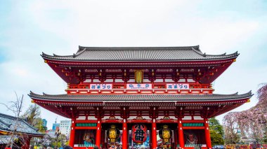 TOKYO, Japon Nisan 2024: Sensoji tapınağındaki Nakamise Dori 'de çiçek açıyor. Japonya 'daki Sensoji Tapınağı.