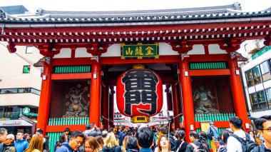 TOKYO, Japon Nisan 2024: Sensoji tapınağındaki Nakamise Dori 'de çiçek açıyor. Japonya 'daki Sensoji Tapınağı.