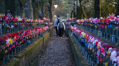 Tokyo, Japonya Nisan 2024: Mizuko, Zojoji Tapınağından Senjo-chori Jizosonson (Minato-ku, Tokyo). Mizuko, Japonya 'da doğumdan önce ya da kısa bir süre sonra ölen çocukların ruhlarını ifade etmek için kullanılan terimdir..