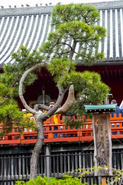 Tokyo, Japan APRIL 2024: Tokyo oldest temple Kiyomizu Kannon-do in Ueno, completed in 1631, design based on Kiyomizu dera of Kyoto clipart