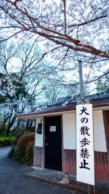 Japonca, Nisan 2024: Tokyo 'da köpek parkına giremez.