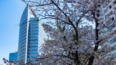 Japonca, TOKYO Nisan 2024: Gonnosukezaka, Meguro-Ku, Tokyo yakınlarındaki bölge