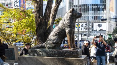 Japonca, TOKYO Nisan 2024: Gonnosukezaka, Meguro-Ku, Tokyo yakınlarındaki bölge