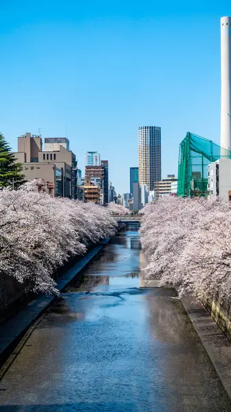 stock image JAPAN, TOKYO  April 2024: area near Gonnosukezaka, Meguro-Ku, Tokyo