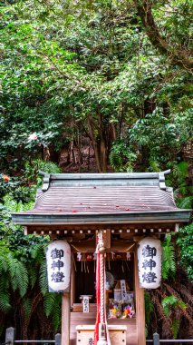 Japonya, KYOTO Nisan 2024: Kyoto, Japonya 'daki Otoyo Tapınağı. Tapınak ilk olarak 887 'de inşa edildi..