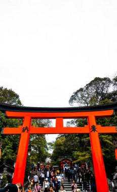 JAPAN, KYOTO Nisan 2024: Kyoto Japonya 'daki Fushimi Inari Taisha' da sakura, kiraz çiçeği 